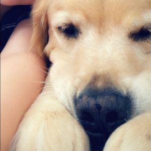 Meet your Posher, Anna